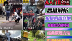 东方糖糖妹抖音短视频全套实战课思维+拍摄+剪辑+运营，从入门到精通网赚项目-副业赚钱-互联网创业-资源整合随创资源