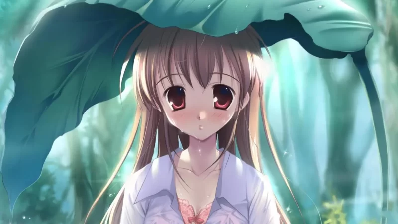 使用Adobe Firefly AI人工智能转变您的图像创造力教程-18节课-中英字幕网赚项目-副业赚钱-互联网创业-资源整合随创资源